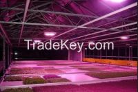 Leds Horticulture 20Watt Hps Grow Kit Oyster Mushrooms/Botanical Garden Panel Grow Lights 28W /36w/72W LED Grow  lights