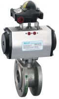 Pneumatic actuator, pneumatic valve actuator