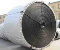 High Temperature Resistant Conveyor Belt (Mouded edge, Cut Edge)