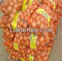  YELLOW ONIONS FOR SALE