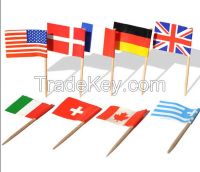 Toothpick Flags
