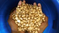 Gold Bars And Gold Nugget Avaible