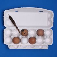 Very Competitive Paper Pulp Egg Cartons