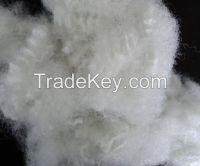 Polyester Staple Fiber (material:PET, PET