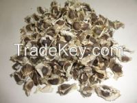 Moringa seeds