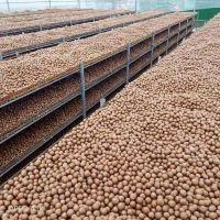 Premium Roasted Macadamia Nuts Delicious And Crunchy Macadamia Nuts Packed For Direct Bulk Supply With Great Taste
