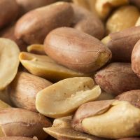 Organic Raw Peanuts Bulk Supply Fresh Peanuts Direct From Farm For Food Industry And Wholesale Buyers