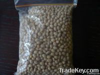 soyabean seeds