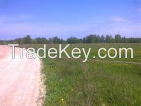 Farm Land In Russia, Near Moscow