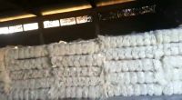 100% Raw Natural Sisal Fiber- White