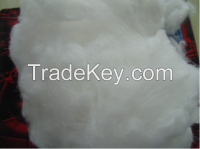 Nylon 6 Fiber