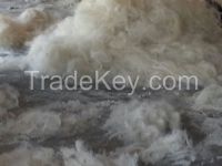Best Quality Sisal Fiber For Export