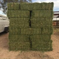 Hay Bales