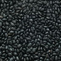 Black Beans 