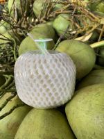 Coconut Easy Open