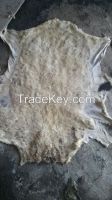 Wet Blue Goat Skin
