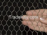 Hexagonal Wire Netting