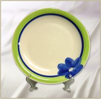 10.5''dinner plate