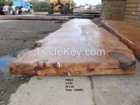 Swamp Kauri  Table Tops 50,000