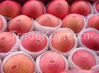 China Fuji Apple