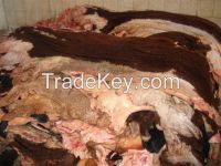 Dry And Wet Salted Donkey/Goat