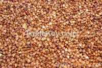 roasted buckwheat