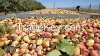  Fresh,Raw,,Dried,Roasted Pistachio Nuts