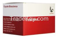 One-Step Detection Kit for Hepatitis C Virus (QPCR-Probe)