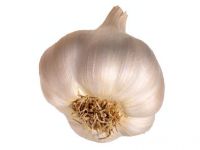  Fresh Garlic