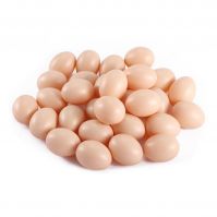 Wholesale Supplier Best Quality Fresh Brown