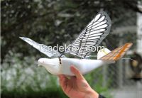 Flapping Wing UAS Autonomous Route IAS