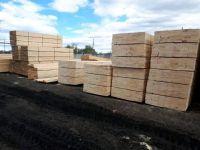 High Quality Timber Logs Teak Timber Logs Wood