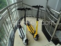 Foldable Electric  Scooter For Adults 36V