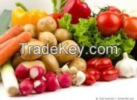 Colored Capsicum,Fresh Cabbage,Carrot,Ginger