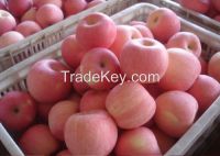 Fresh Gala Apples On Hot Sale