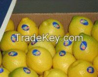 Fresh & Dried Fruits On Hot
