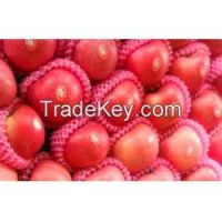 High Quality Red Fuji , Red And