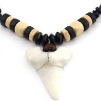 White Resin Shark Tooth/Teeth Pendant