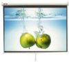 Manual  Screen