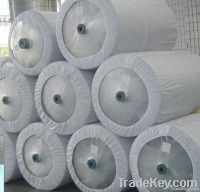NYLON 6 TYRE CORD FABRIC