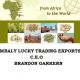 Mbali import and export pty