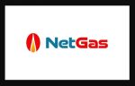 Netgas Energy Services