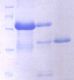 Hangzhou Biodoor Biotechnology Co,Ltd