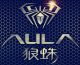 Shenzhen Suoai Electronics&Technology Co., Ltd