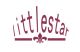 Hongkong Littlestar technology Co., Ltd