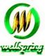 shenzhen welllspring electronic Limited