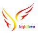 foshan bright flower furniture