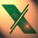 YINTIN INC