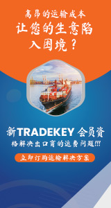 HAIKURE HEW03185DF119L0895L0895 関税送料込 eBayの関税やVATはいつ払う？かからないのはいくらまで？計算